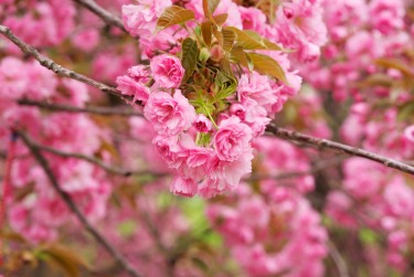 嘉兴桐乡线下个人借款平台一站式服务，轻松解决资金难题