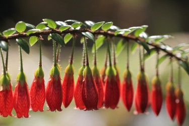 嘉兴桐乡零用贷短借：轻松解决临时资金需求