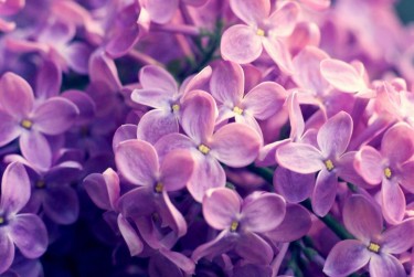 嘉兴桐乡企业急用钱贷款攻略：快速融资解燃眉之急